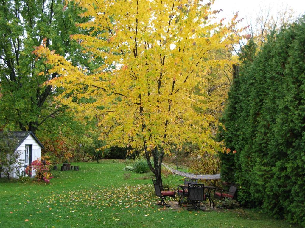 Saint-Jean-des Piles Gite Aux Traditions المظهر الخارجي الصورة